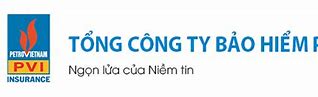 Tổng Công Ty Bảo Hiểm Pvi Pvi Insurance