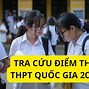 Tra Cứu Điểm Thi Tốt Nghiệp Thpt 2024 Nghệ An