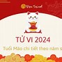 Xem Tử Vi Tuổi Canh Thân Sinh Năm 1980 Năm 2024